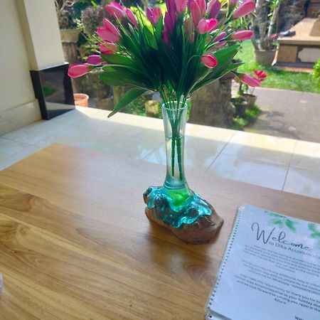 Dika Accommodation Ubud المظهر الخارجي الصورة